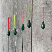 Image of TS  (Buchwalder)